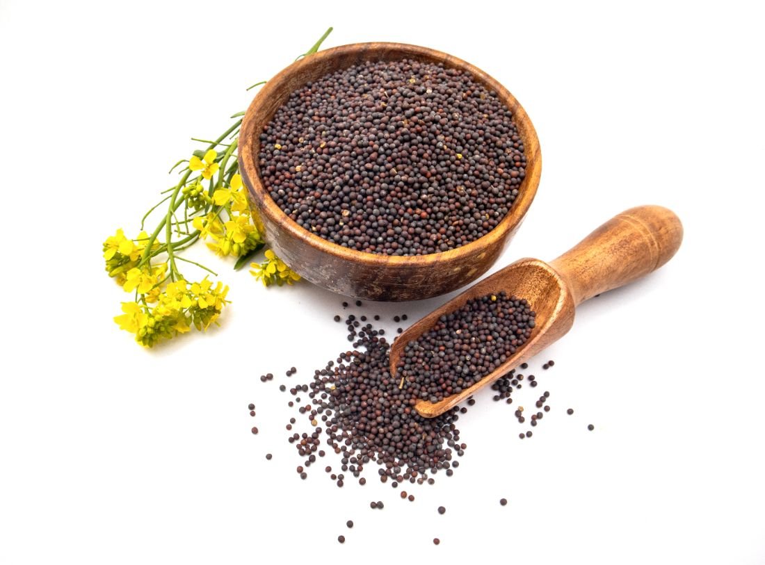 Mustard Seeds for bulk export from India